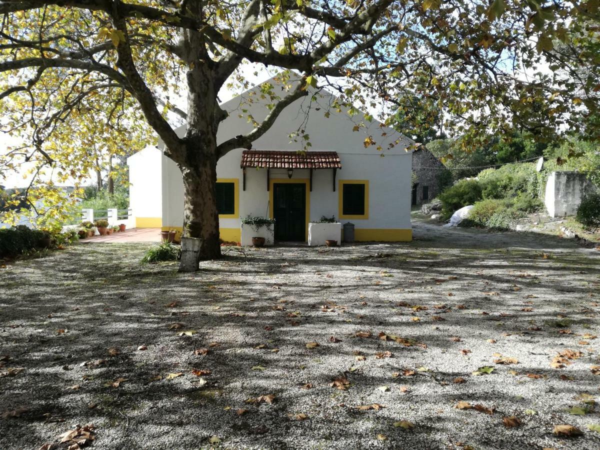 Montejunto Villas - Casa Do Platano Cadaval Exterior foto
